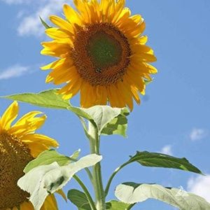 Meet your Posher, Judith